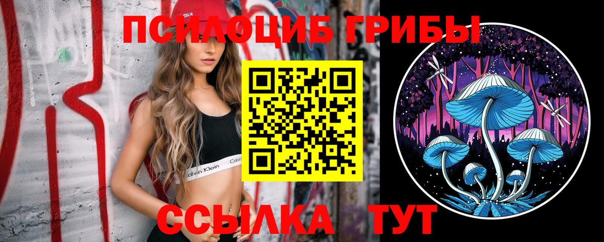 Пенза  Псилоцибиновые грибы ЛСД  Вход с VPN  Псилоцибиновые грибы прущие грибы 
